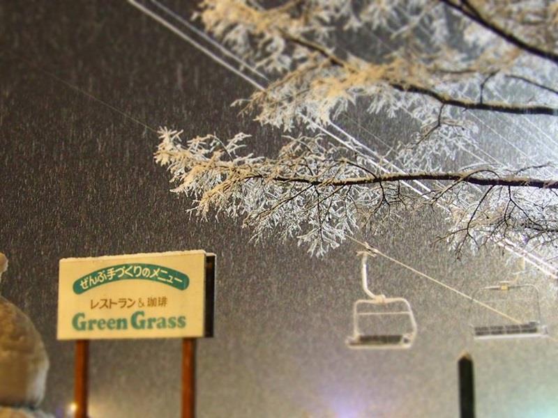 Pension & Restaurant Green Grass Hakuba Esterno foto